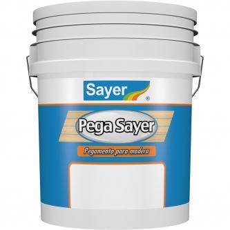 PEGASAYER CARPINTERO 19 LT