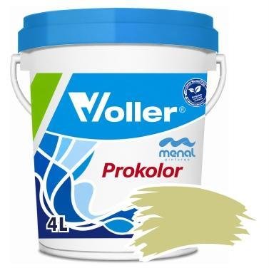PROKOLOR KIWI 4 LT
